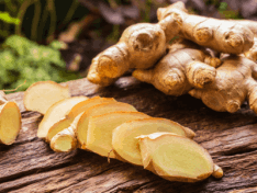 Ginger Root Extract